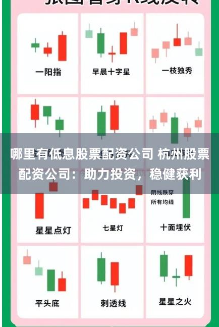 哪里有低息股票配资公司 杭州股票配资公司：助力投资，稳健获利