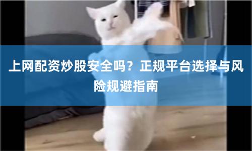 上网配资炒股安全吗?正规平台选择与风险规避指南